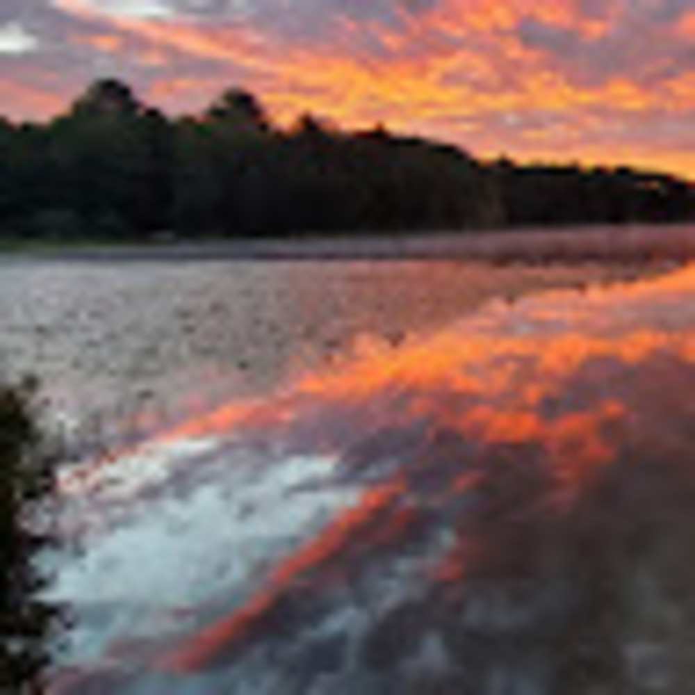 Meet your Posher, Voked